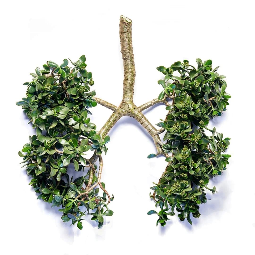 Intro to Easy Breathwork online